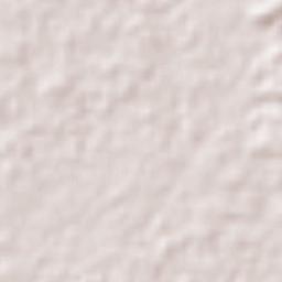 Acapetahua Terrain Map