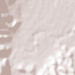 Pueblo Nuevo Terrain Map