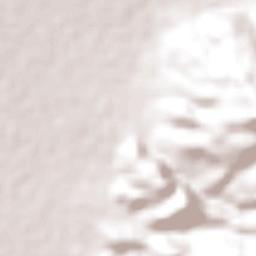 Agua Blanca Sur Terrain Map