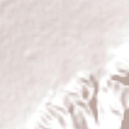 Mojimán Terrain Map