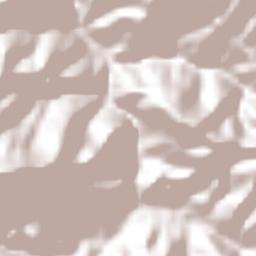 Esquipulas del Norte Terrain Map