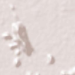 Amphoe Takhli Terrain Map