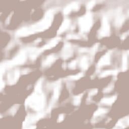 Nueva Frontera Terrain Map