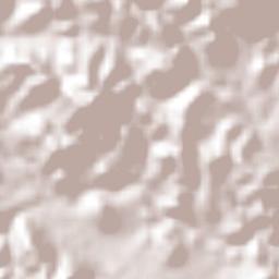 Punta Ocote Terrain Map