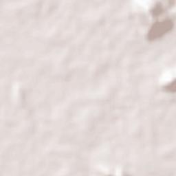 Chinchinim Terrain Map