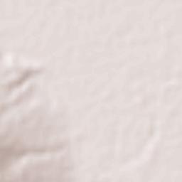 San Mateo Terrain Map