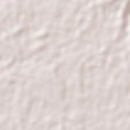 Villa Comaltitlán Terrain Map