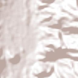 La Playona Terrain Map