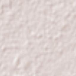 Cantón las Delicias Terrain Map