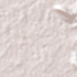 Estación Tuzantán Terrain Map