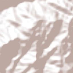 Cantón Villaflor Terrain Map