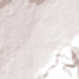 Nueva Arcadia Terrain Map