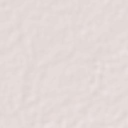 San Patricio Terrain Map