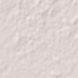 Cantón Rancho Nuevo Terrain Map