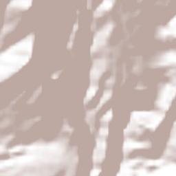 Santo Domingo Terrain Map