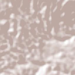 Chinique Terrain Map