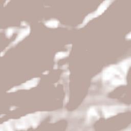 San Joaquín Terrain Map