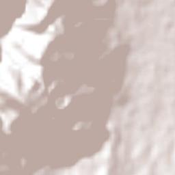 Río Lindo Terrain Map