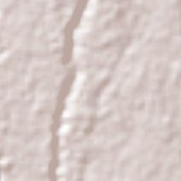 Carrillo Puerto Terrain Map