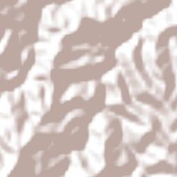 Municipio de Santa María Chiquimula Terrain Map