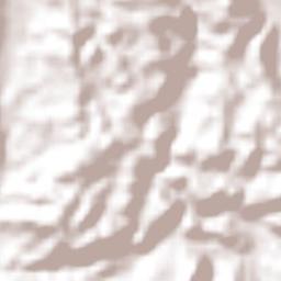 Pueblo Nuevo Terrain Map