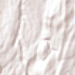 Oropéndolas Terrain Map