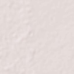 San Simon Terrain Map