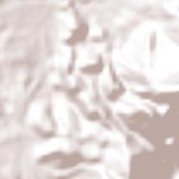 Gualjoco Terrain Map