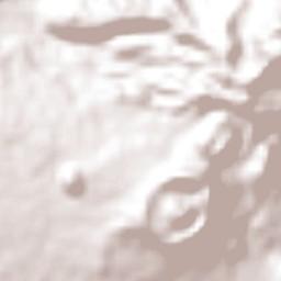 Cañaveral Terrain Map