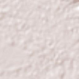 Álvaro Obregón Terrain Map