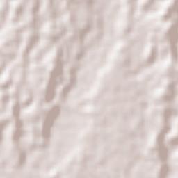 Tapachula Terrain Map