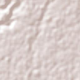 Tuxtla Chico Terrain Map