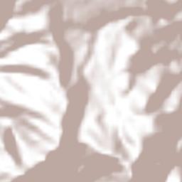 Esquipulas Palo Gordo Terrain Map