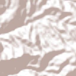 Palestina de los Altos Terrain Map