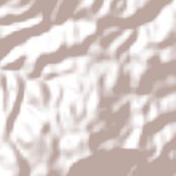 San Francisco la Unión Terrain Map