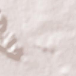 Amphoe Sikhio Terrain Map