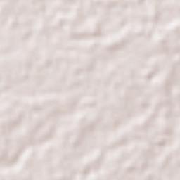 Raymundo Enríquez Terrain Map