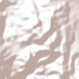 Las Lajas Terrain Map