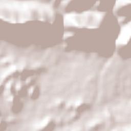 San Francisco de la Paz Terrain Map