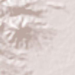 Dinalupihan Terrain Map