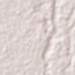 Octavio Paz Terrain Map