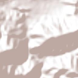 Guastatoya Terrain Map