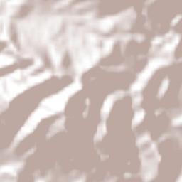 Municipio de San Francisco de La Paz Terrain Map