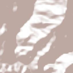 El Guayabito Terrain Map