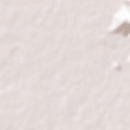 Muang Lop Buri District Terrain Map