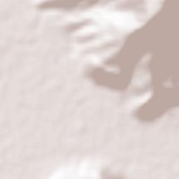 Muang Champasak Terrain Map