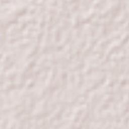 Congregación Reforma Terrain Map