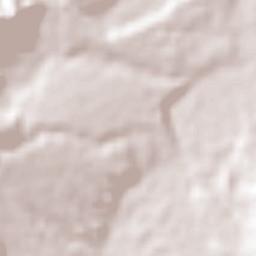 Chiquimula Terrain Map