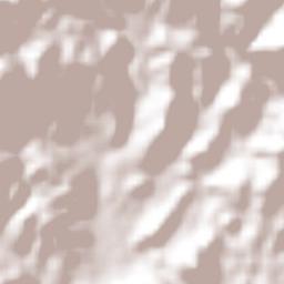 Concepción del Sur Terrain Map