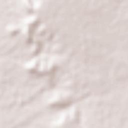 Thiès Nones Terrain Map